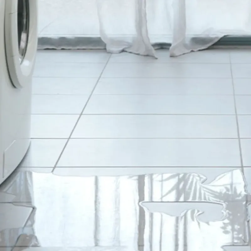 Appliance Leak Cleanup in Morgan County, TN