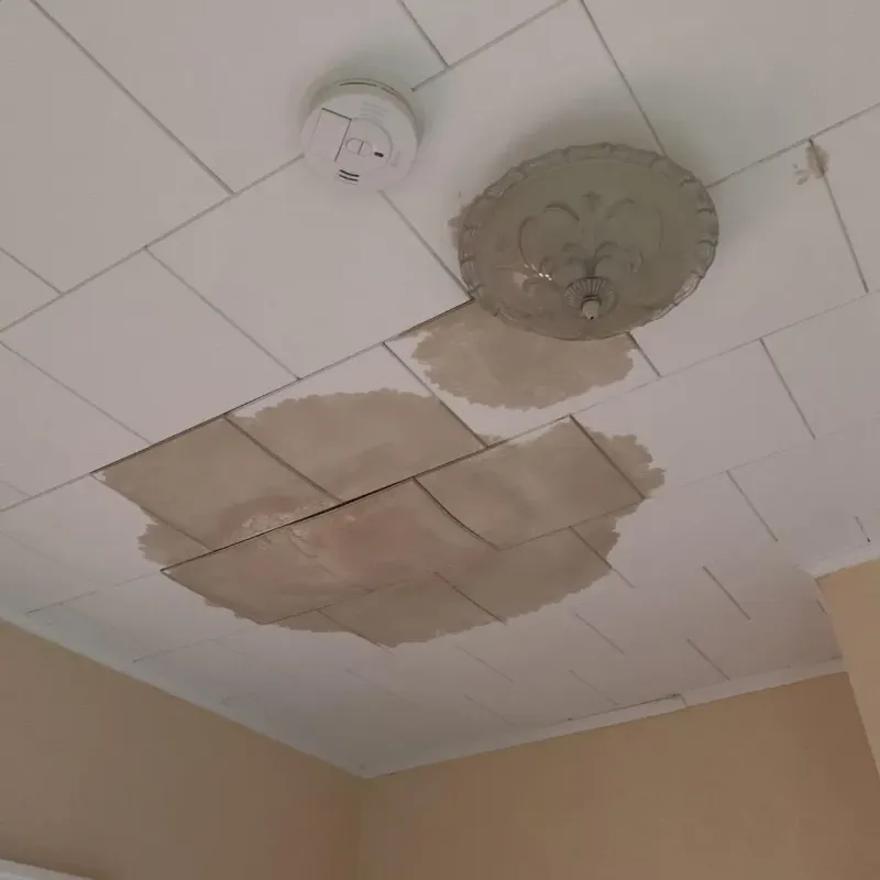 Ceiling Water Damage Repair in Morgan County, TN
