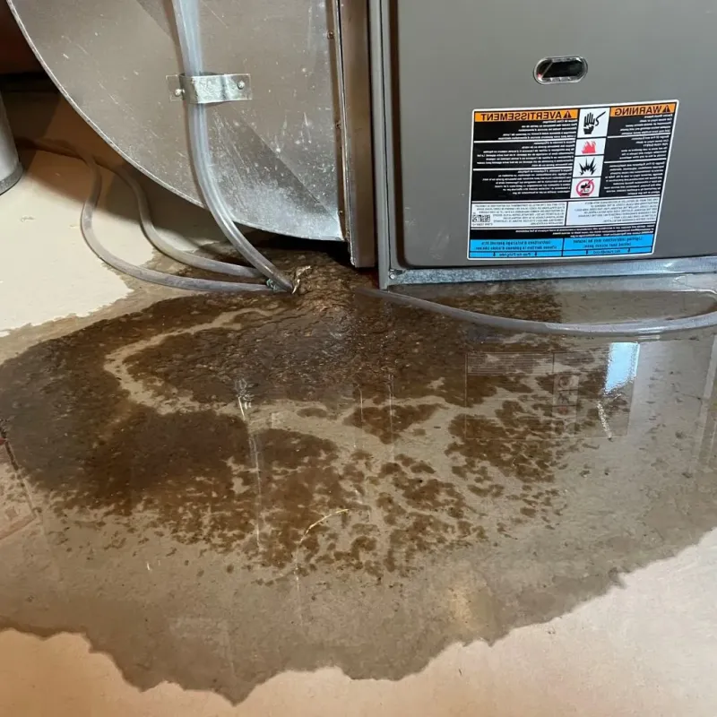 Pipe Burst and Leak Restoration in Morgan County, TN