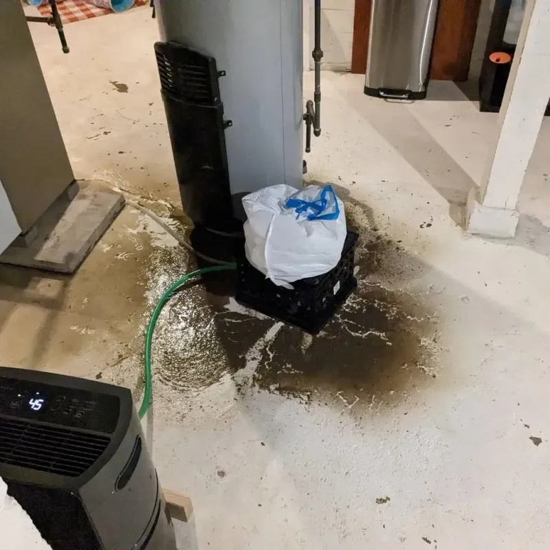 Sewage Backup Cleanup Service in Morgan County, TN